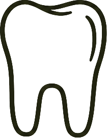 Zahnheilkundliche Osteopathie – Zahn